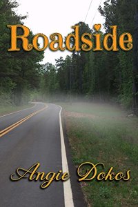 Roadside cover on Amazon