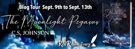 The Moonlight Pegasus