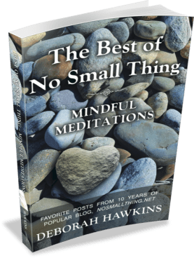 paperbackbookstanding.TBONST copy