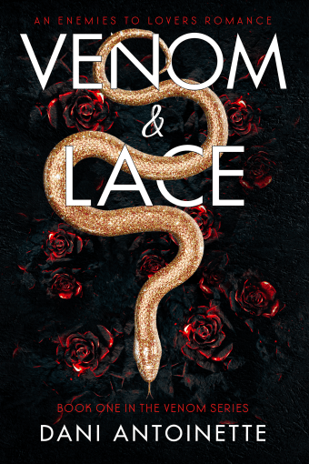 Ebook Venom and Lace Cover Photo