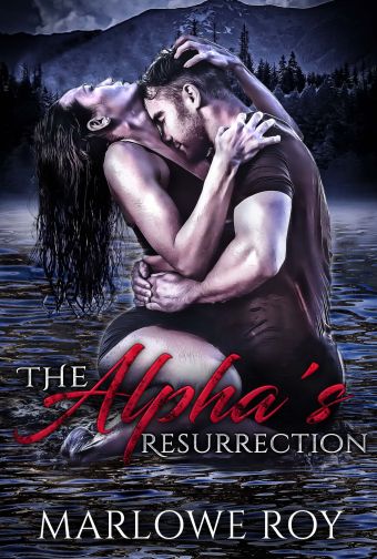 357705112_2179690848888239_8175162916092477351_n